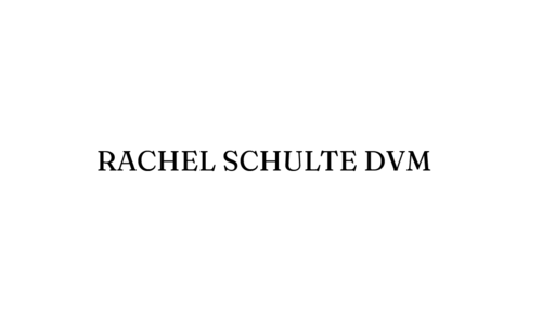 RACHEL SCHULTE DVM