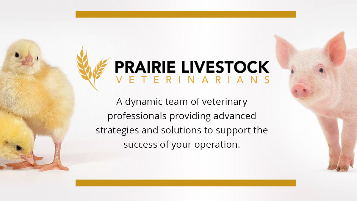 Prairie Livestock Veterinarians