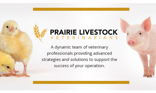 Prairie Livestock Veterinarians