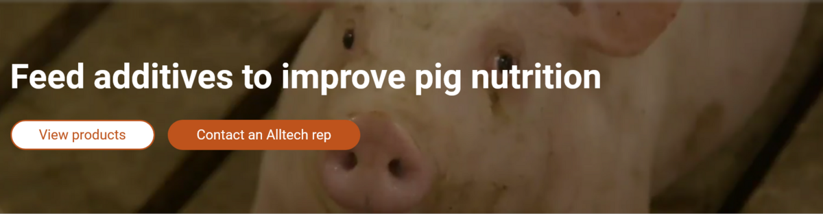 Alltech- Feed additives to improve pig nutrition