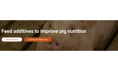 Alltech- Feed additives to improve pig nutrition