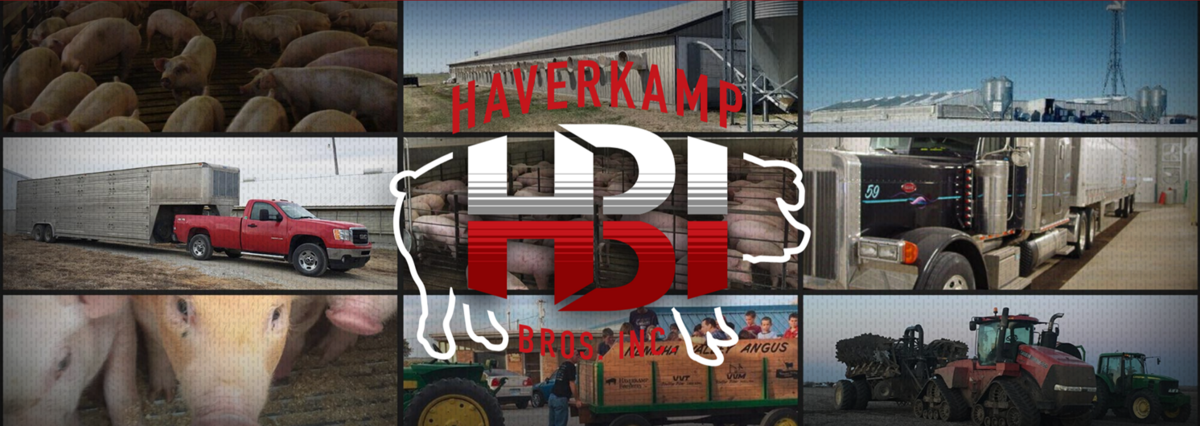 Haverkamp Brothers Inc