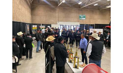 Montana Livestock Expo April 29th 2026