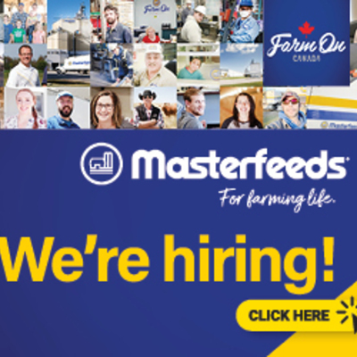 Masterfeeds